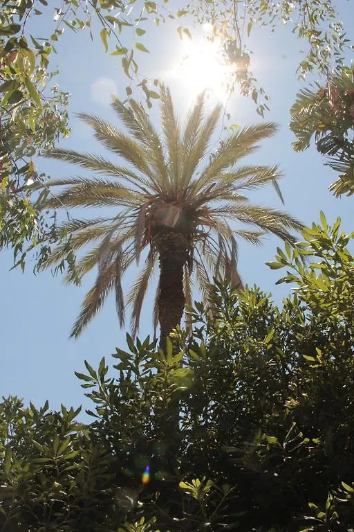 Le Palme Garden Villa San Giorgio  Holiday home
